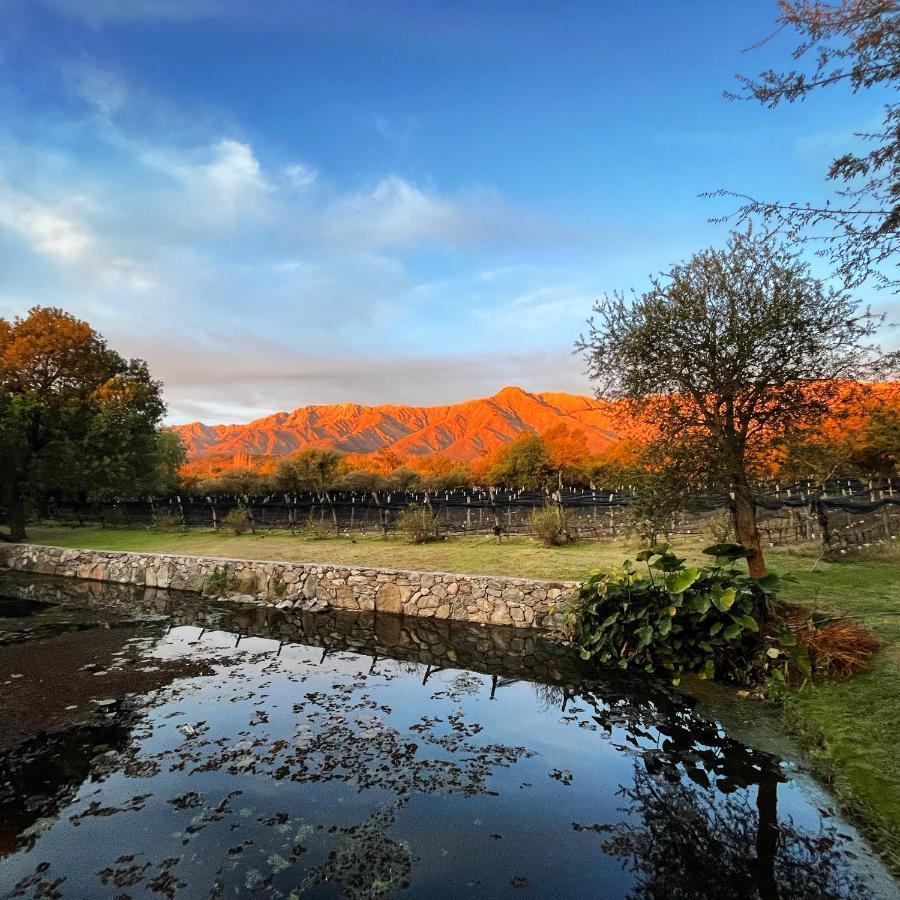 Araoz De Lamadrid Hotel&Bodega San Javier  Exteriör bild
